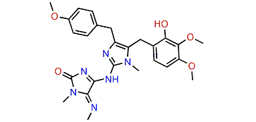 (2E,9E)-Pyronaamidine 9-N-methylimide
